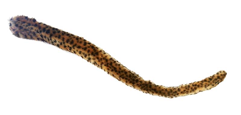 Tail Company Leopard Tail