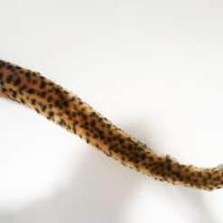 moving cheetah tail