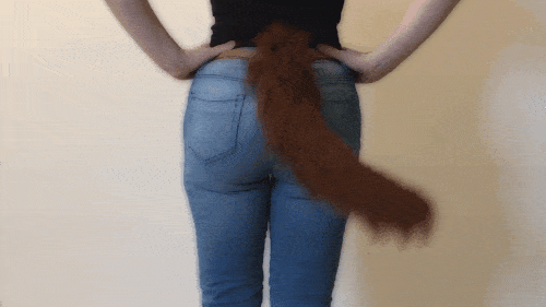 animatronic tail from the tail company