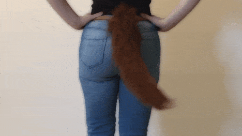 animatronic tail from the tail company