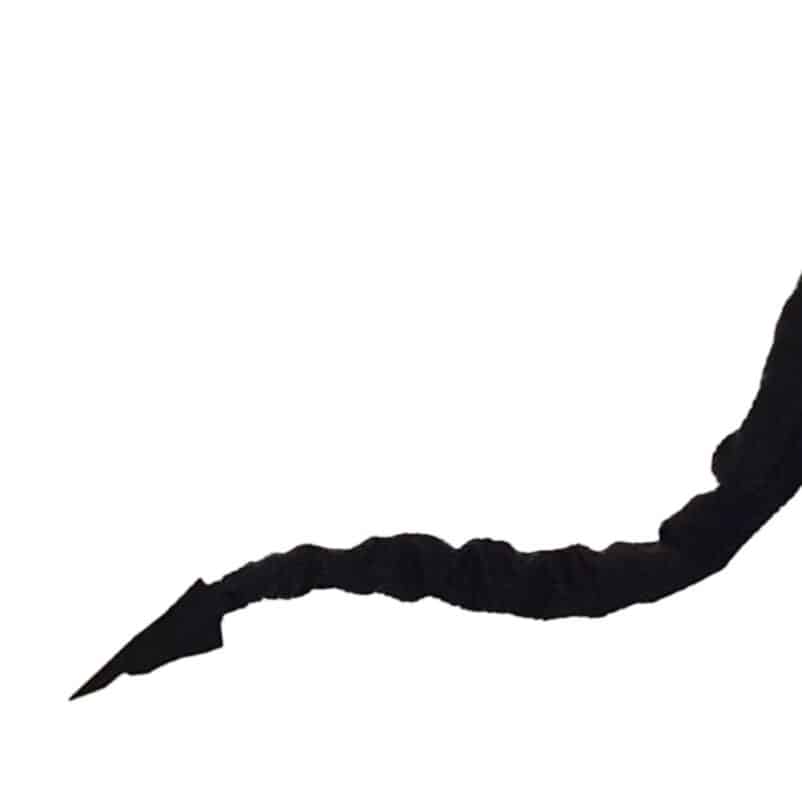 Demon tails that wag and tremble, stand up and will scare you!