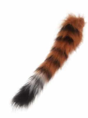 transparent cat tail