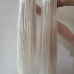 Tail Company Moving Horse Tails