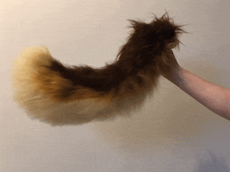 Moving Lassie tail