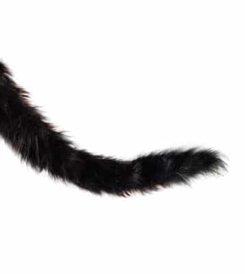 Tail Company Moving Cat Tail