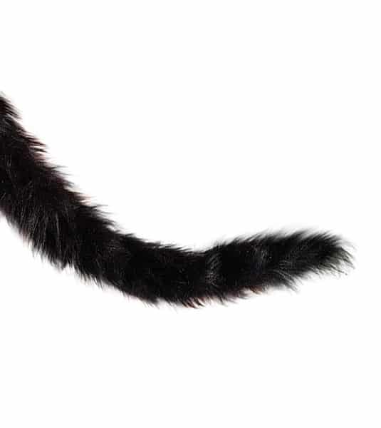 Black Cat Tail | steticlounge.com.br
