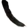 Cat tail