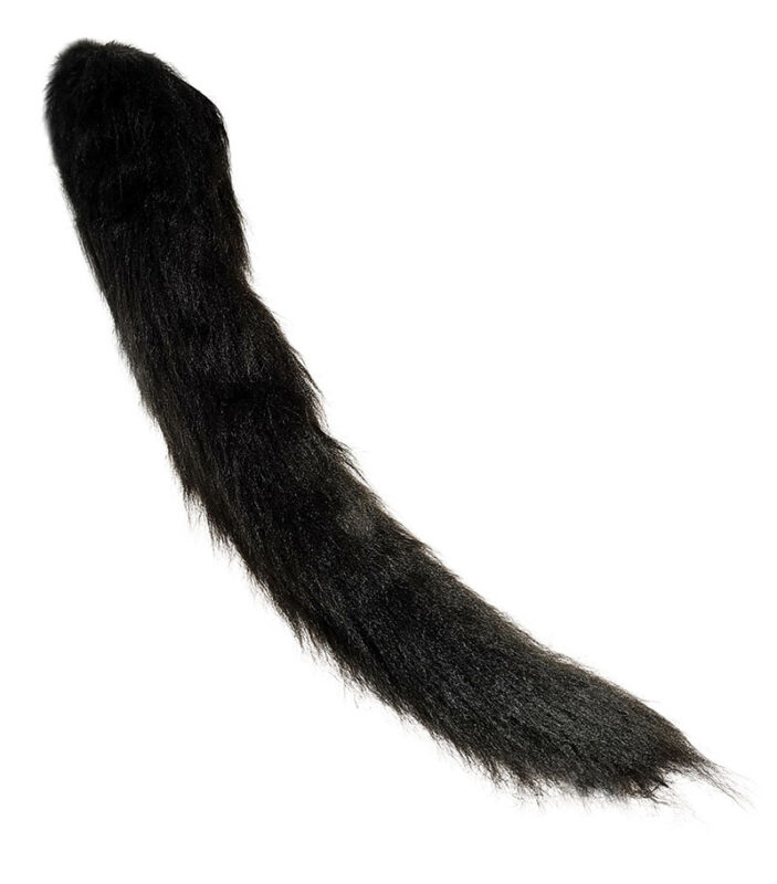 Cat tails that wag and tremble stand up and get frisky Lots of fun