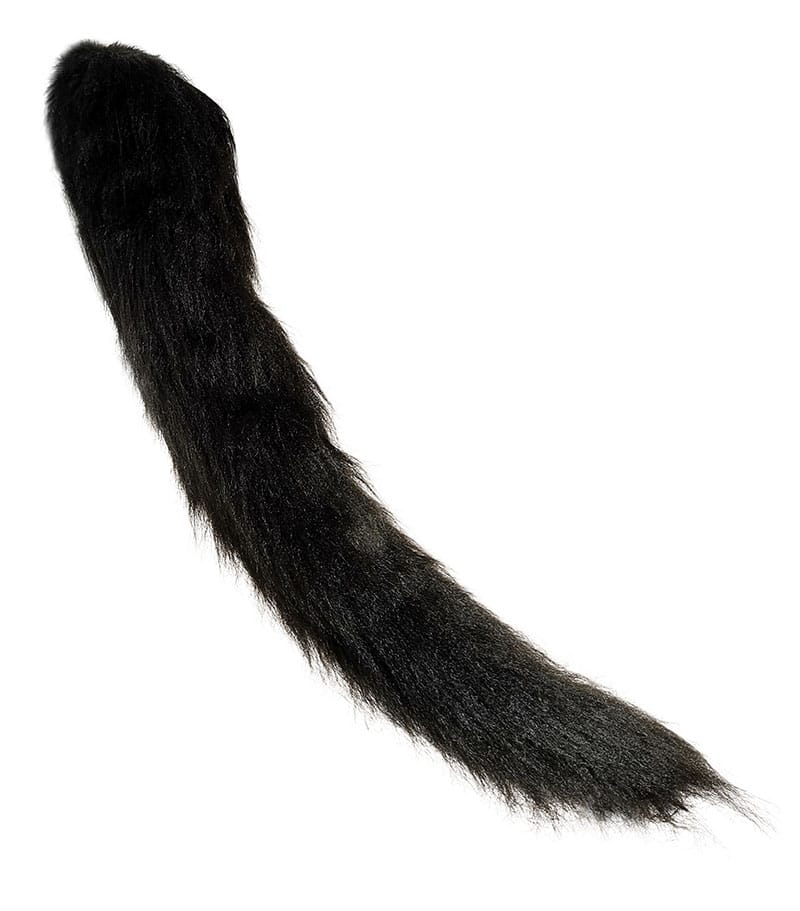 cat tail drawing