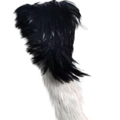 Gryphon tail by the tail company
