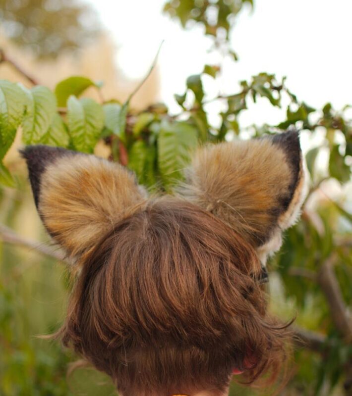 EarGear Pocket Foxy edition