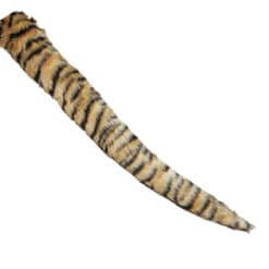 Tiger tail by the tail company
