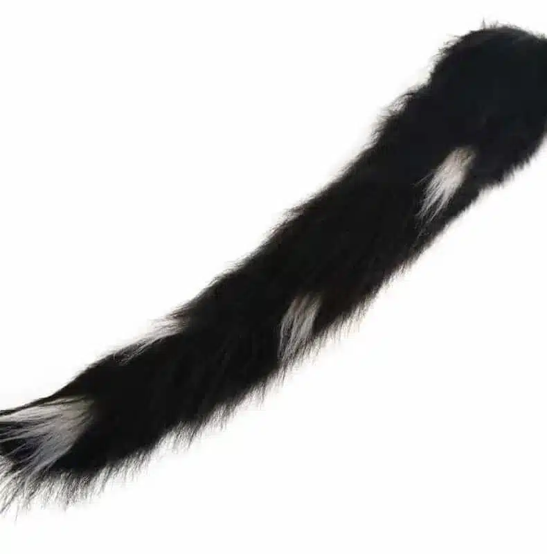 moving Cat tail by the tail company