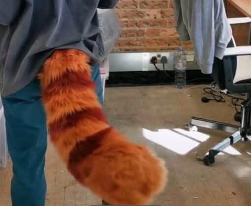 red panda tail by the tail company