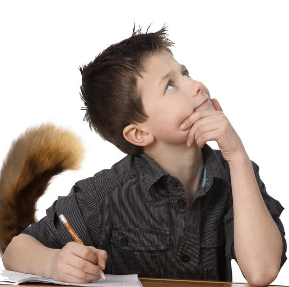 State-of-the-tail survey