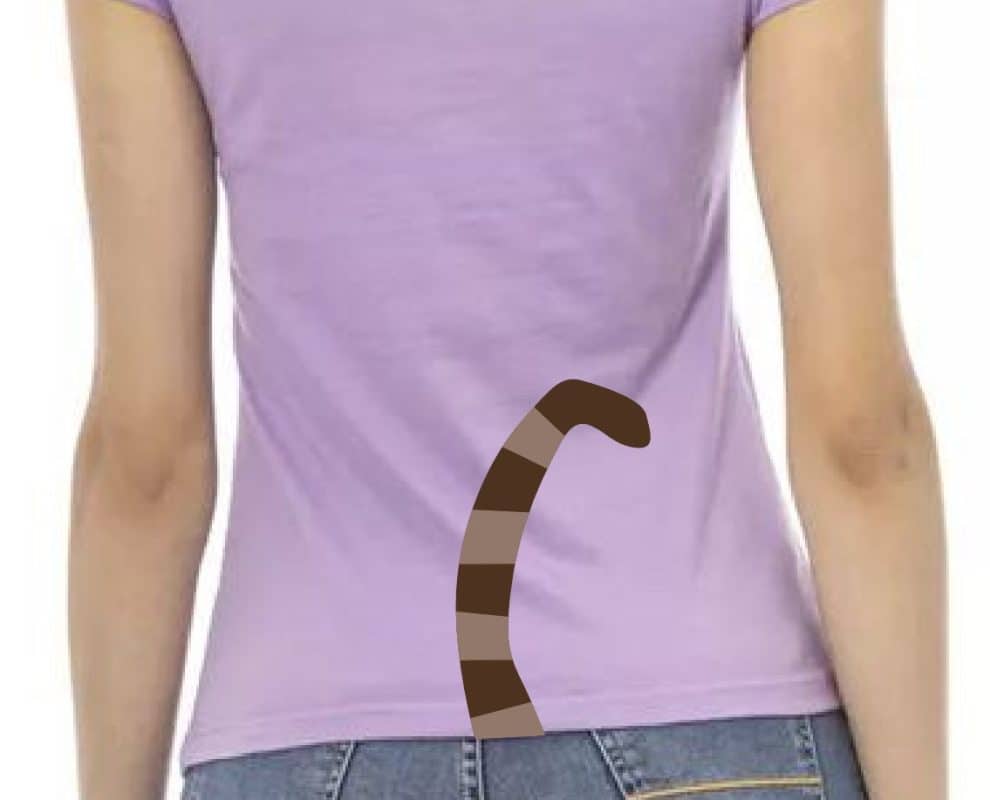 Cat Tail T Shirt by the Tail Company