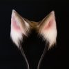 EarGear custom covers