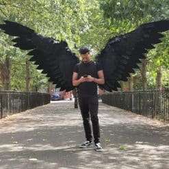 MiWings Black by The Tail Company