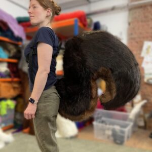 Giant Squirrel Tails