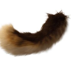Frisky Dog Tails