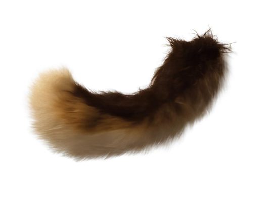 Frisky Dog Tails - 32" (81cm)