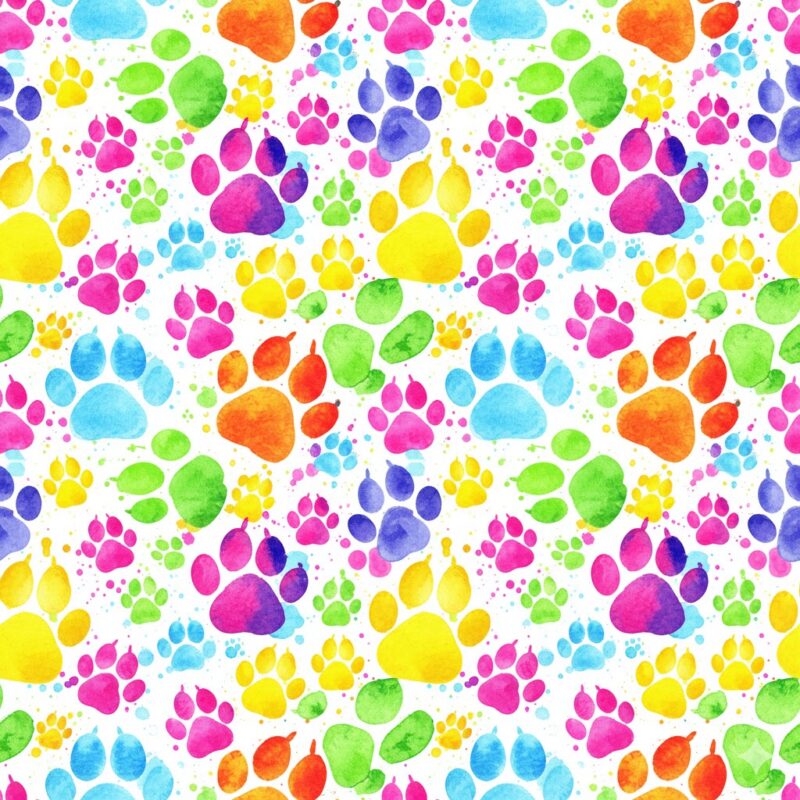 Something Pawsome is coming at The Tail Company