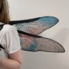 dragonfly wings