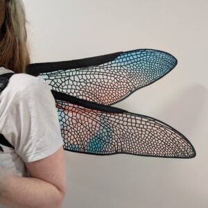 dragonfly wings