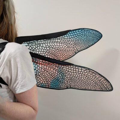 dragonfly wings
