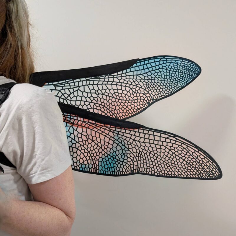 dragonfly wings