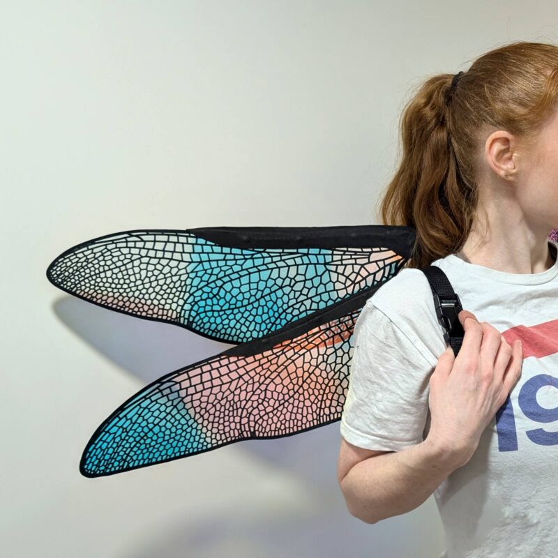dragonfly wings