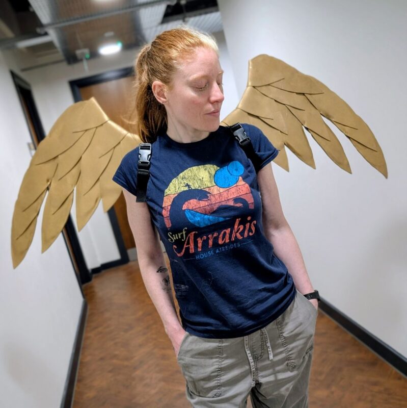 All kinds of golden wings