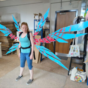 Alternative view of Sway Wings