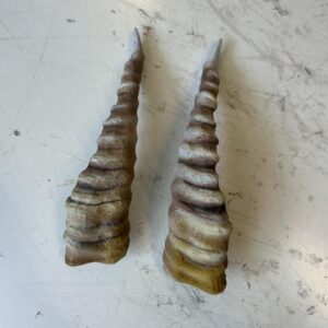 Custom Horns made to order