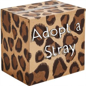 Adopt a Stray!