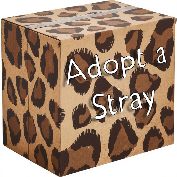 adopt a stray smol