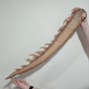 Daring Dragon Tails - Image 13