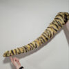 tiger tails by the tail company