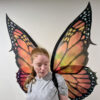 Monarch butterfly wings