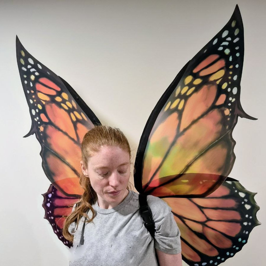 Monarch butterfly wings